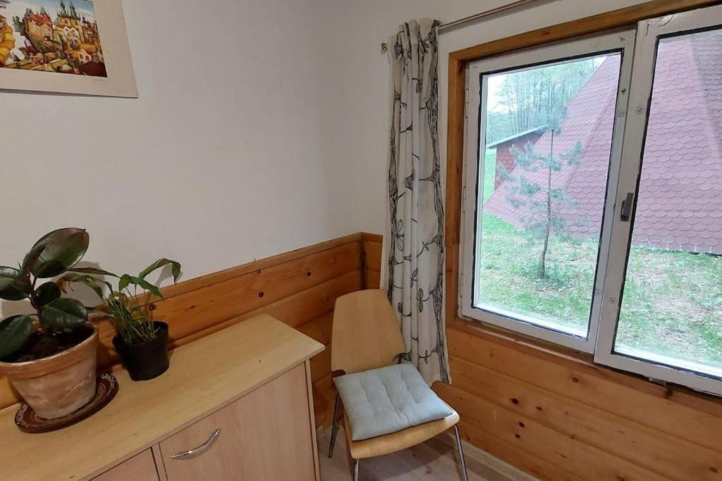 Off-Grid Cottage near river and forest!