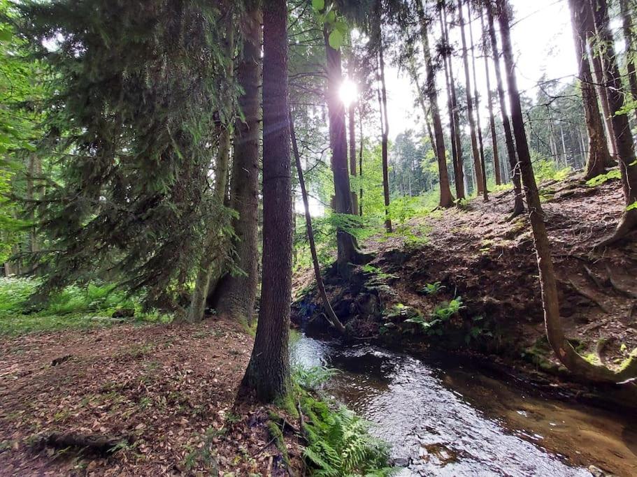 Off-Grid Cottage near river and forest!