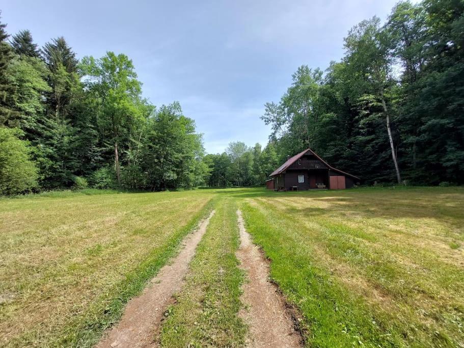 Off-Grid Cottage near river and forest!