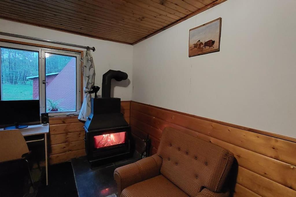Off-Grid Cottage near river and forest!