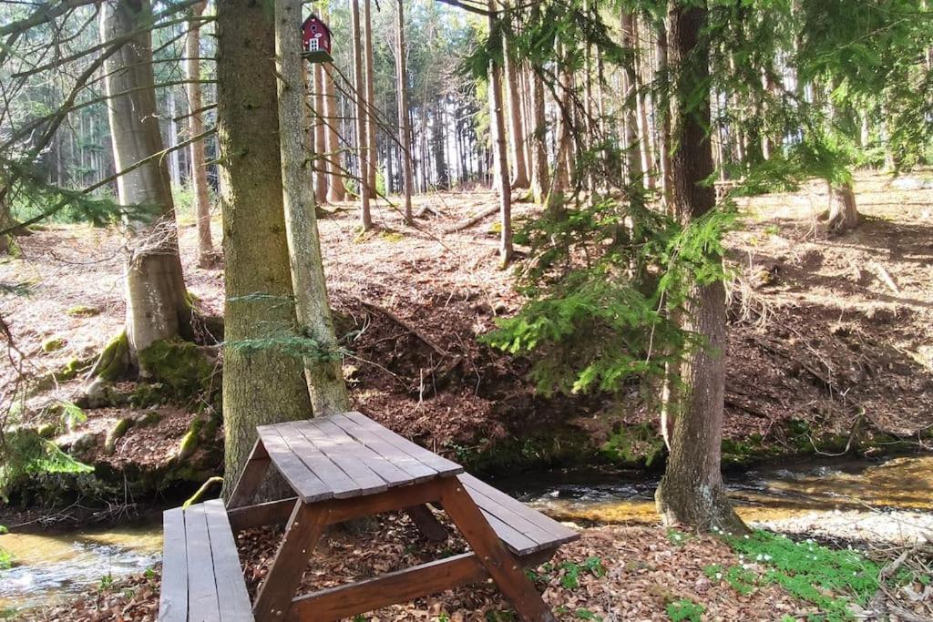Off-Grid Cottage near river and forest!