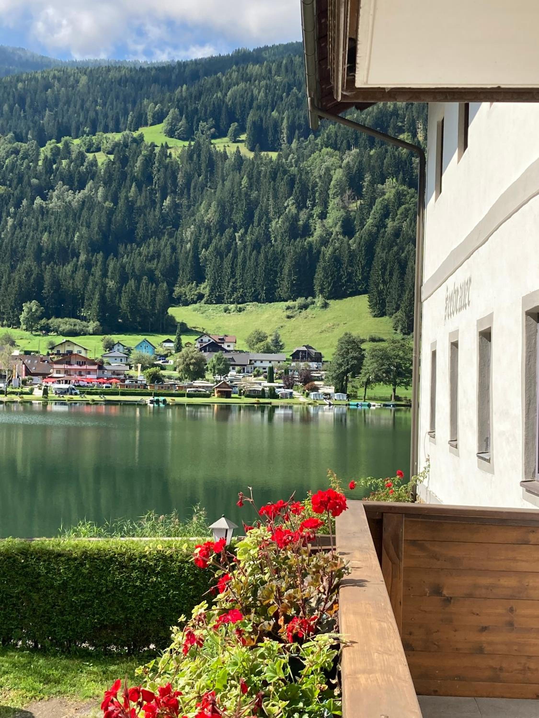 SeeBrauer view 2