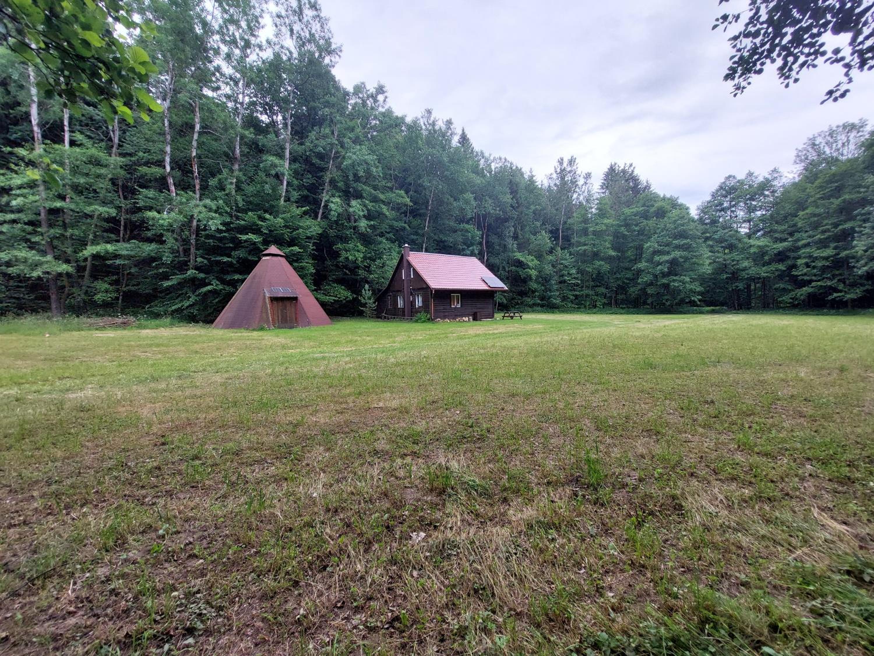 Off-Grid Cottage near river and forest!