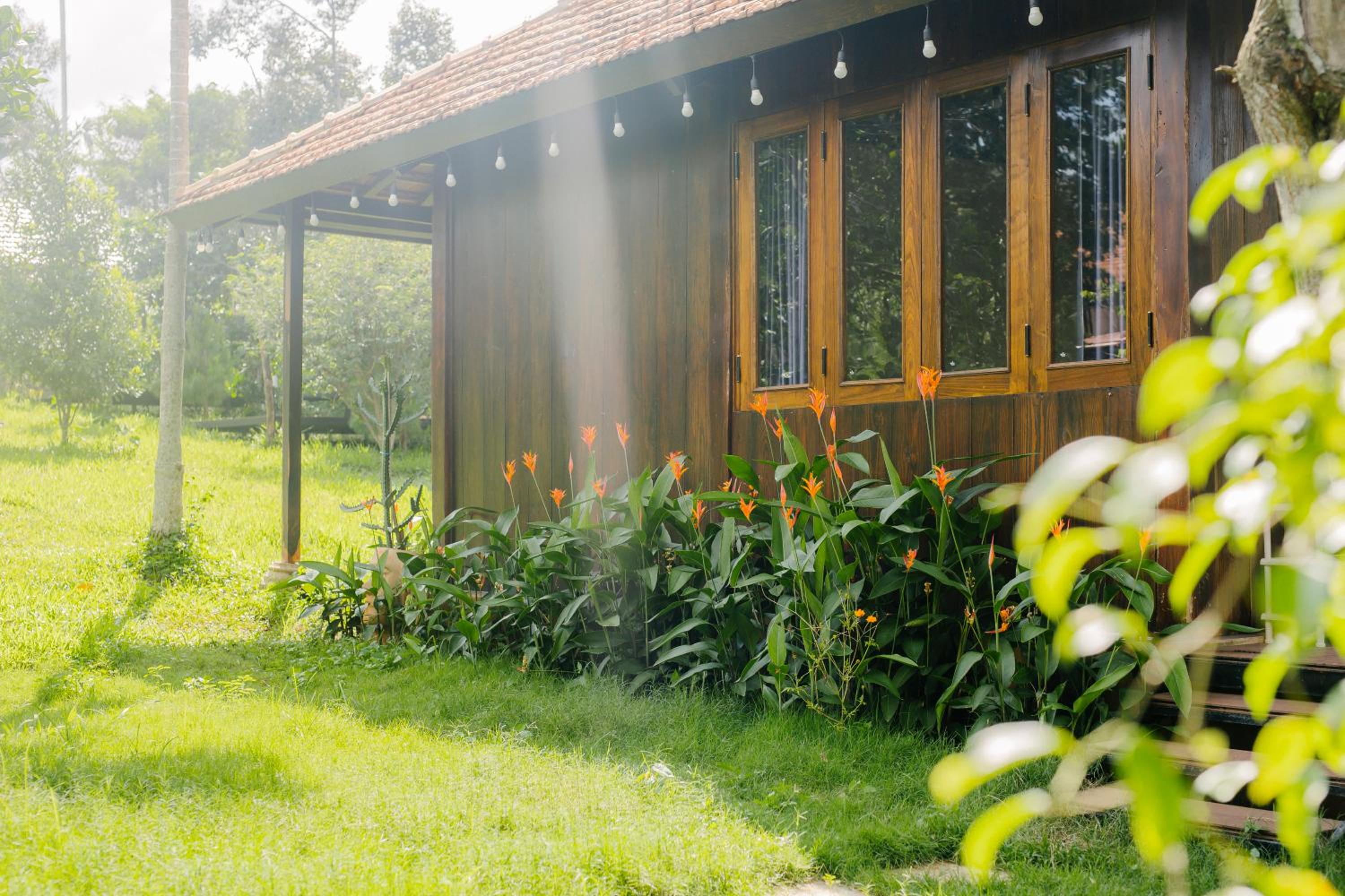 Dancasa Horse Farm & Homestay view 3