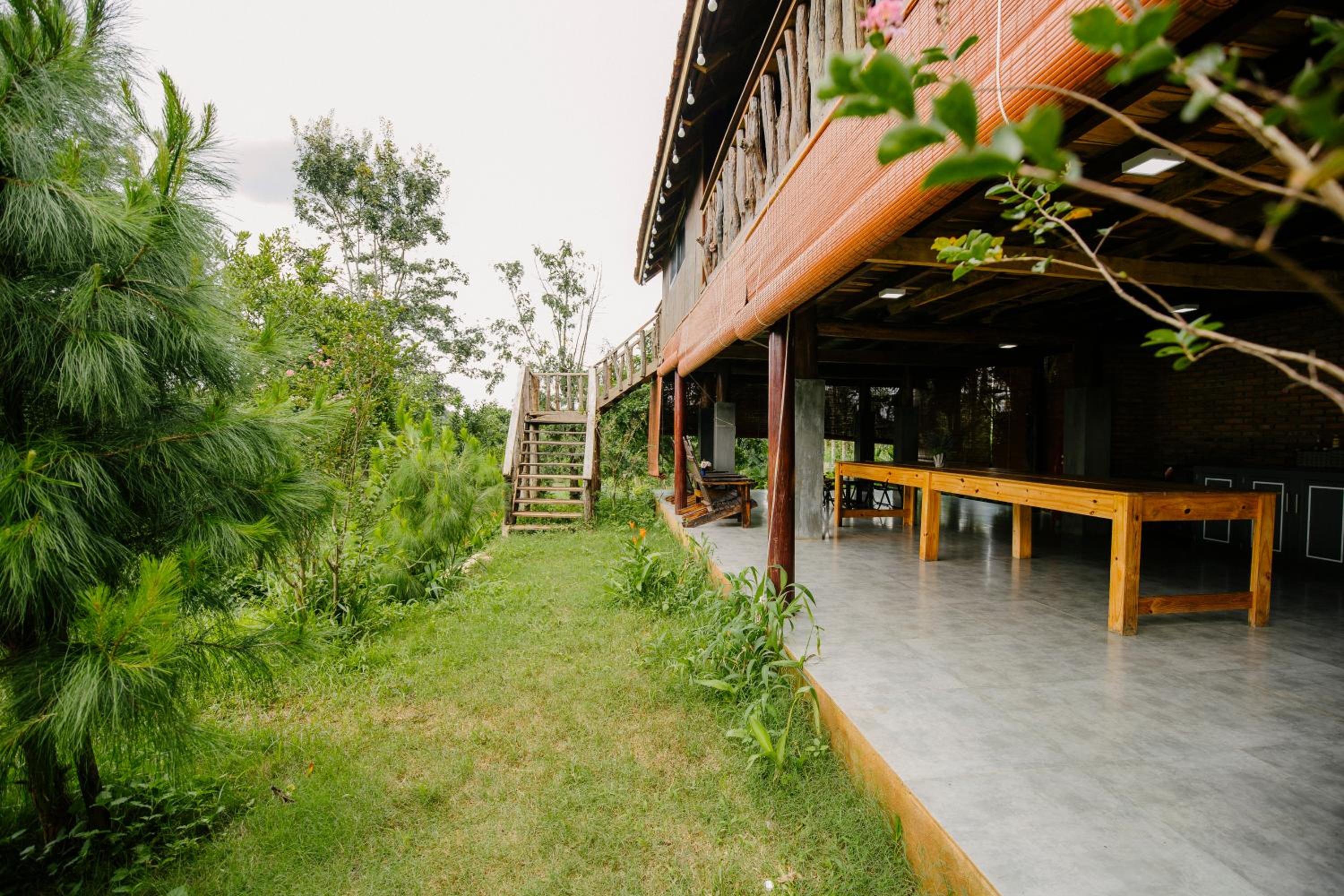 Photo 42