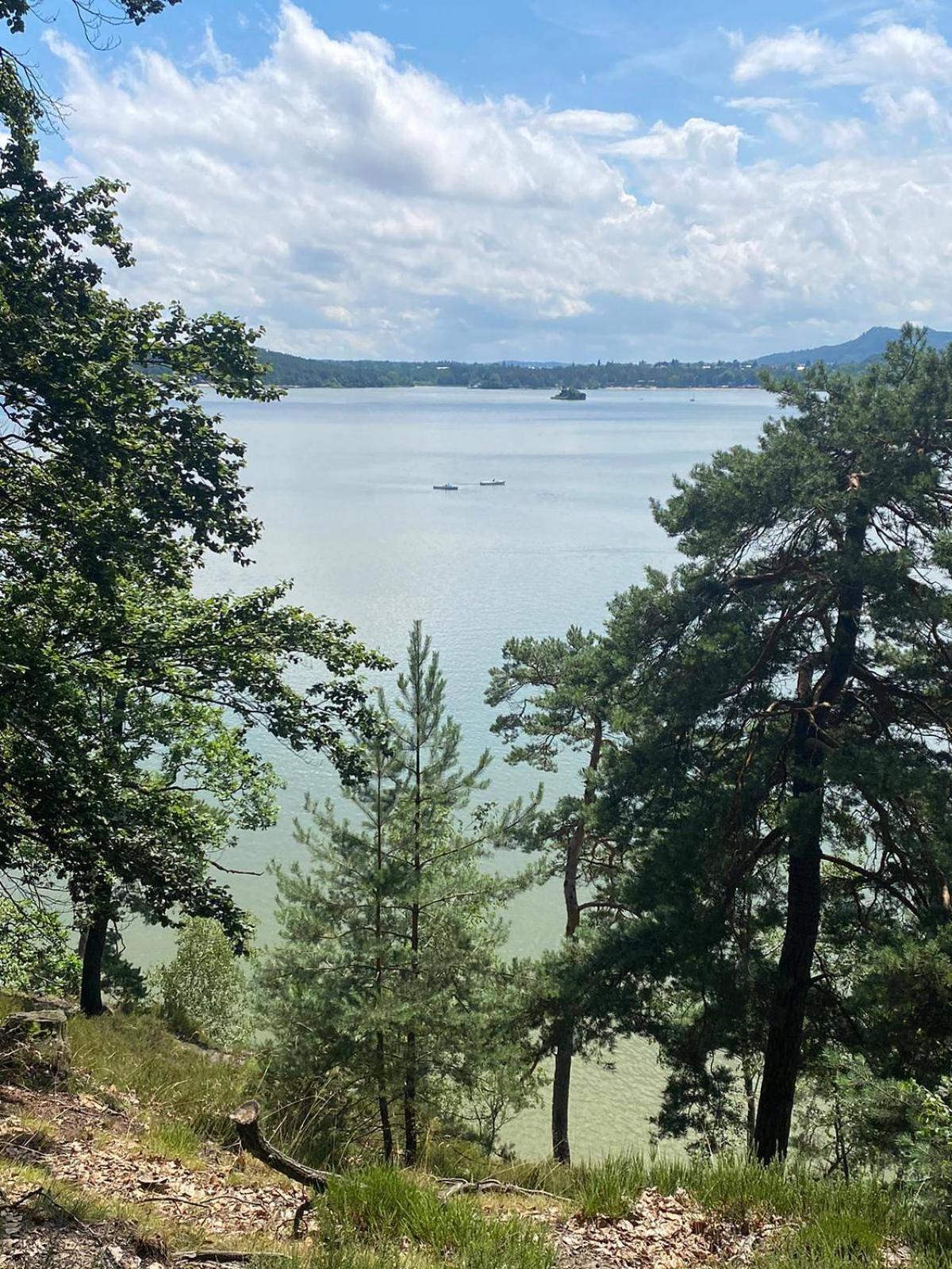 Chata Borůvka u Máchova jezera - free PADDLEBOARD