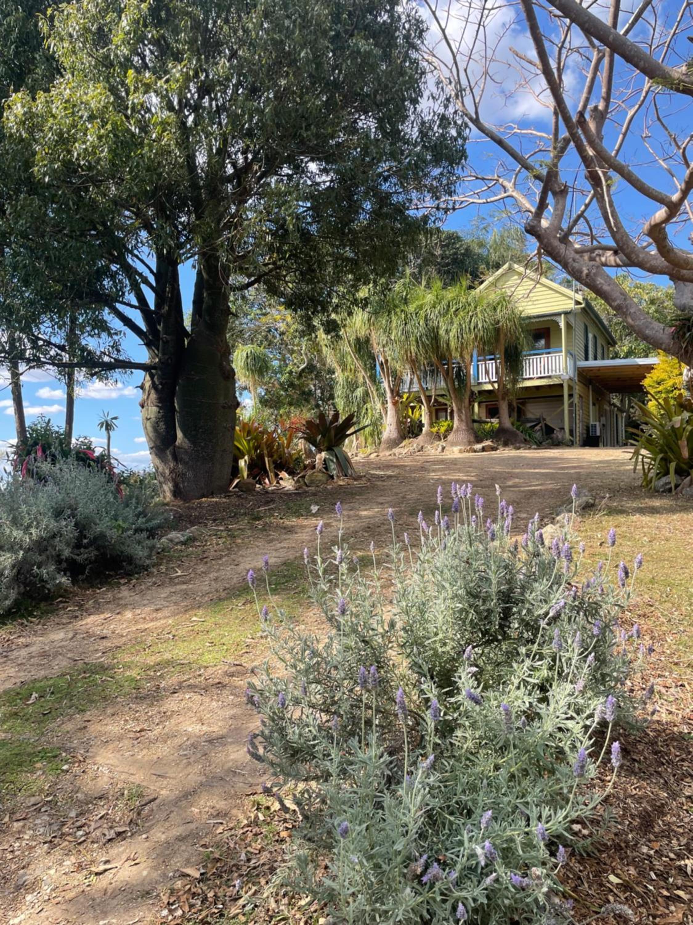 Barney Views Cottage