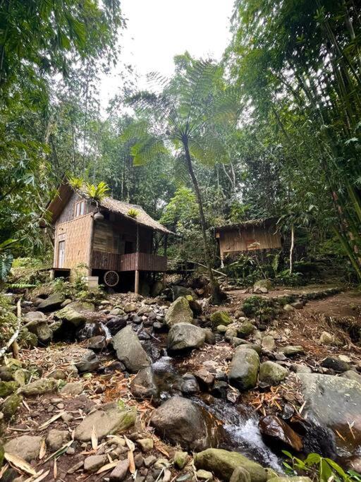 Rumah Kayu, West Sumatera Bungalow view 2