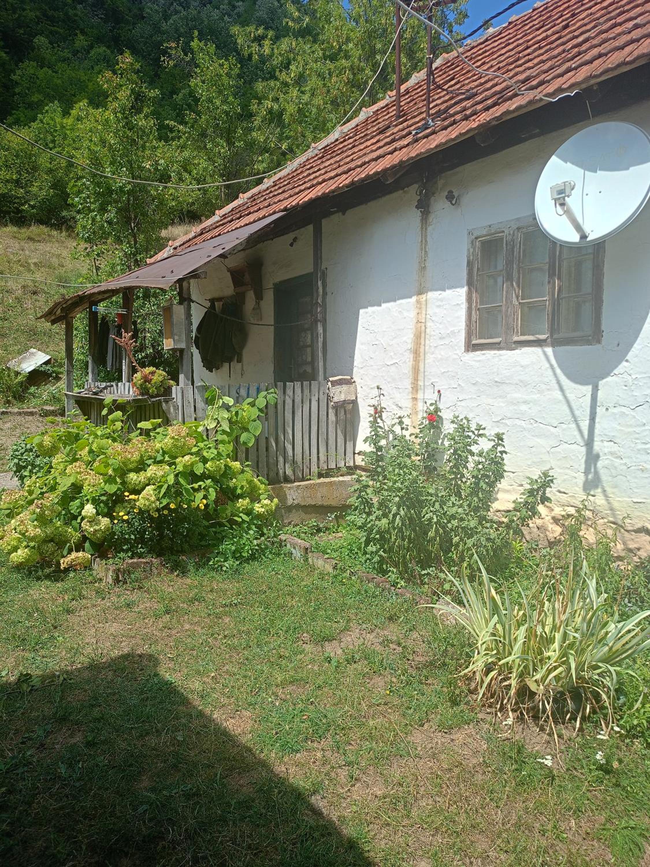 Photo 8