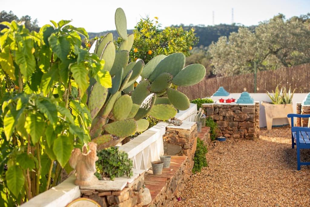 Casa Catarina Peaceful Farmhouse view 4