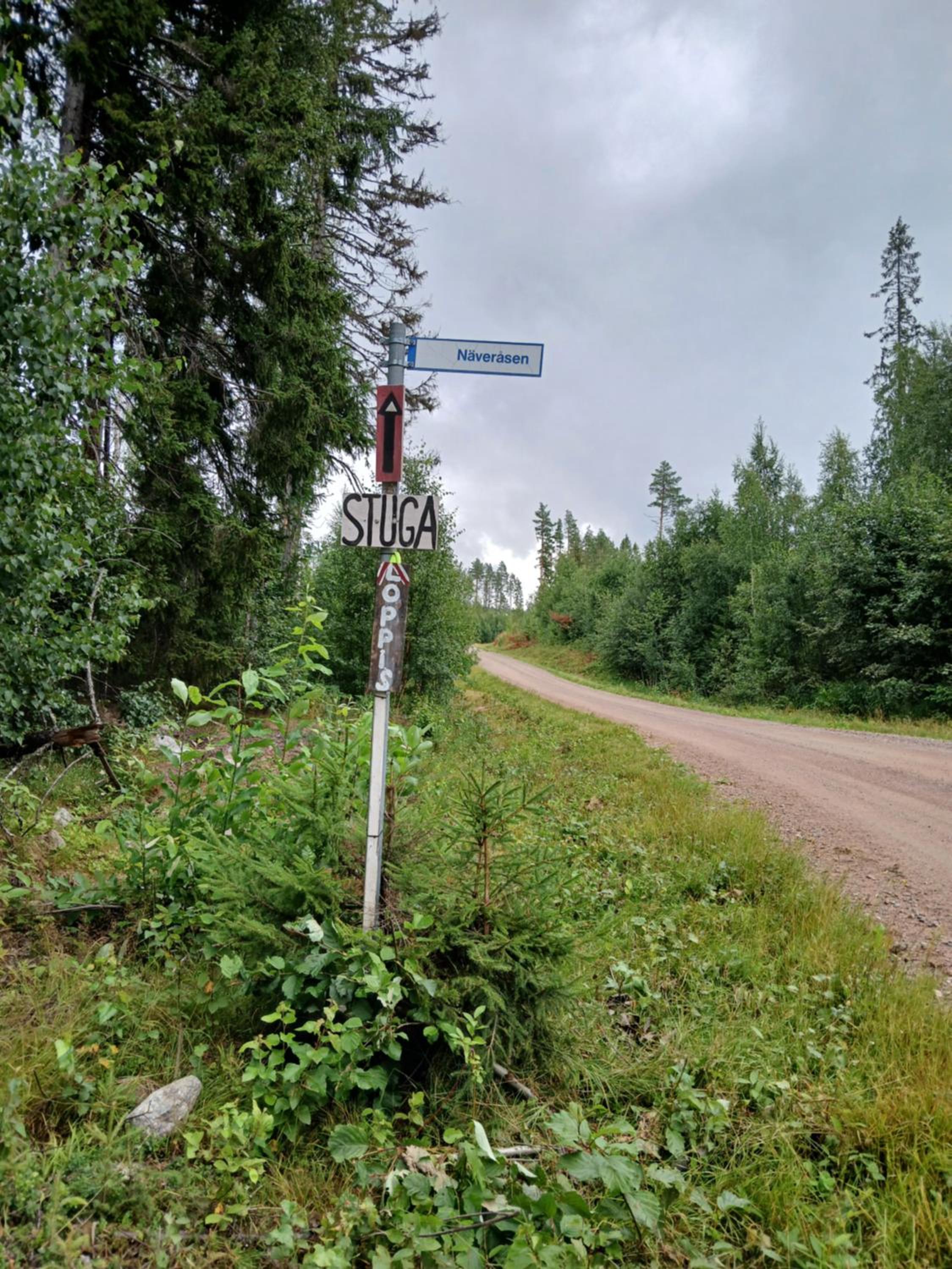 Photo 37