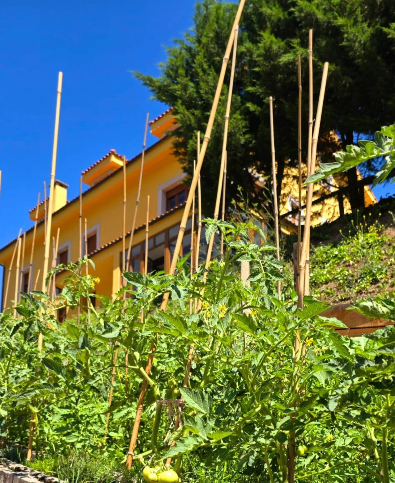 Hotel Rural Valle de Cuaña