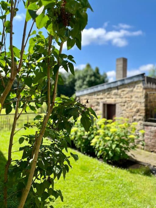 Le cottage de Jeanne