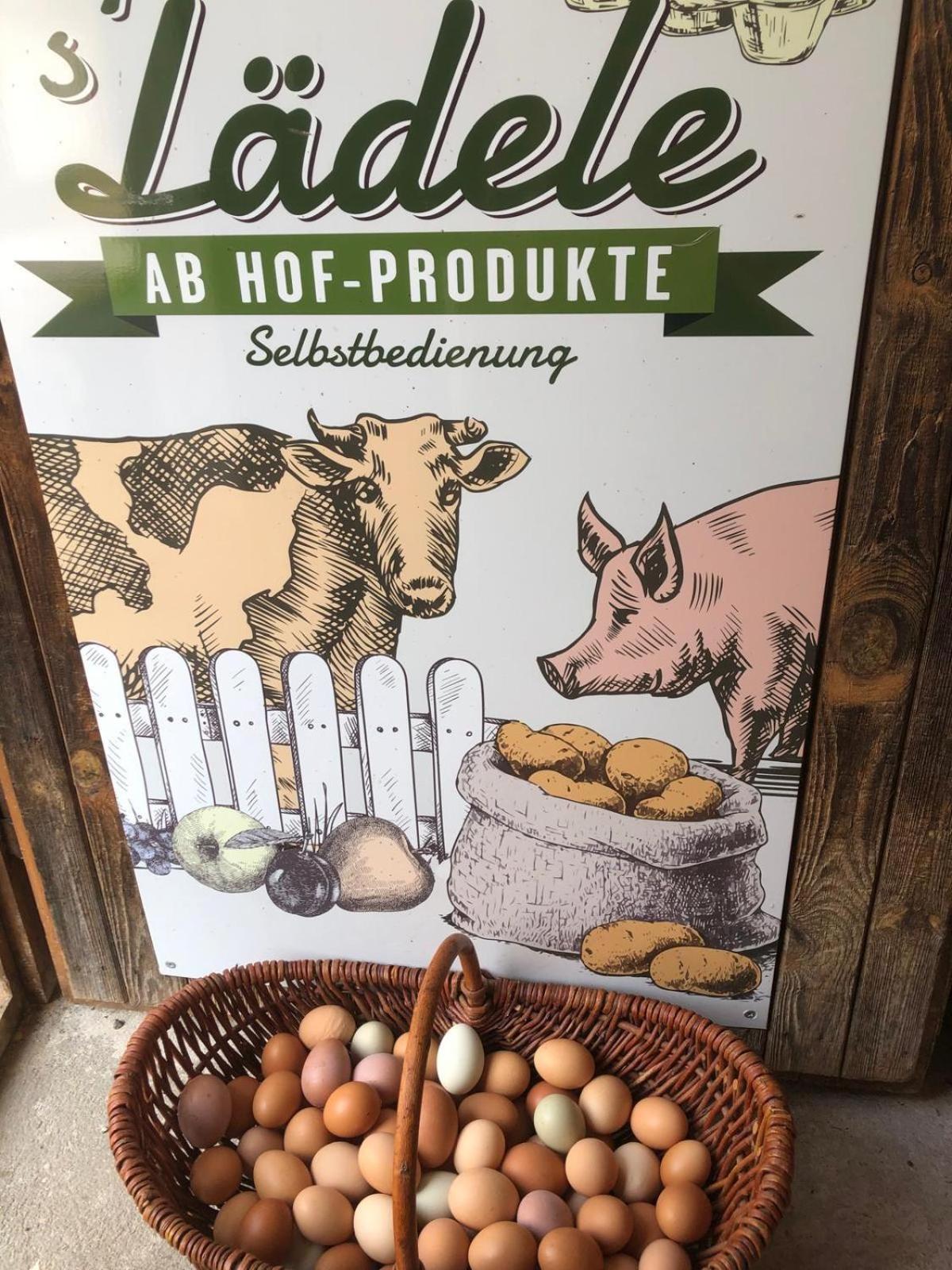 Wandlhof Ferienwohnung 3971 Sankt Martin