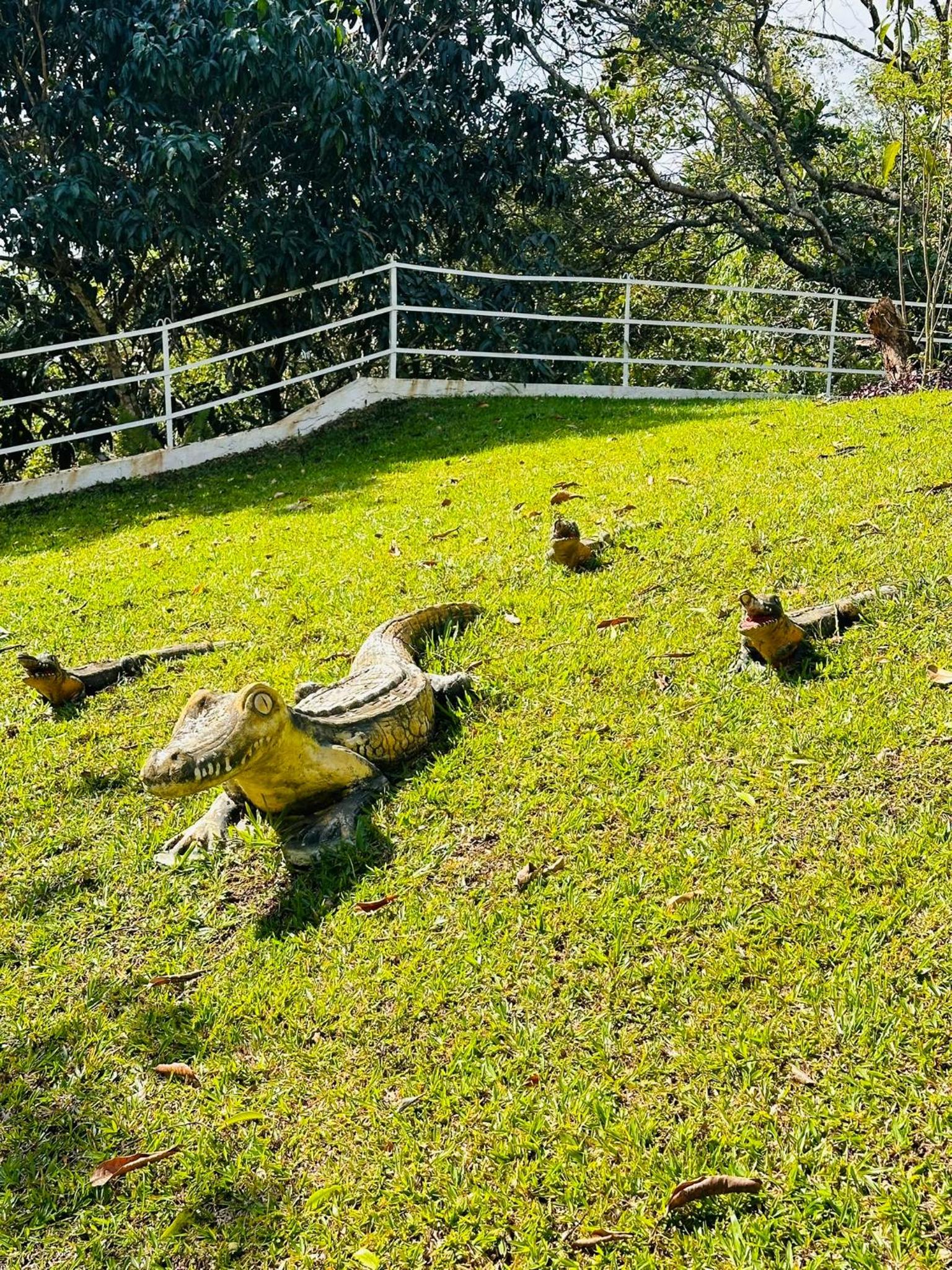 ESTÂNCIA HN