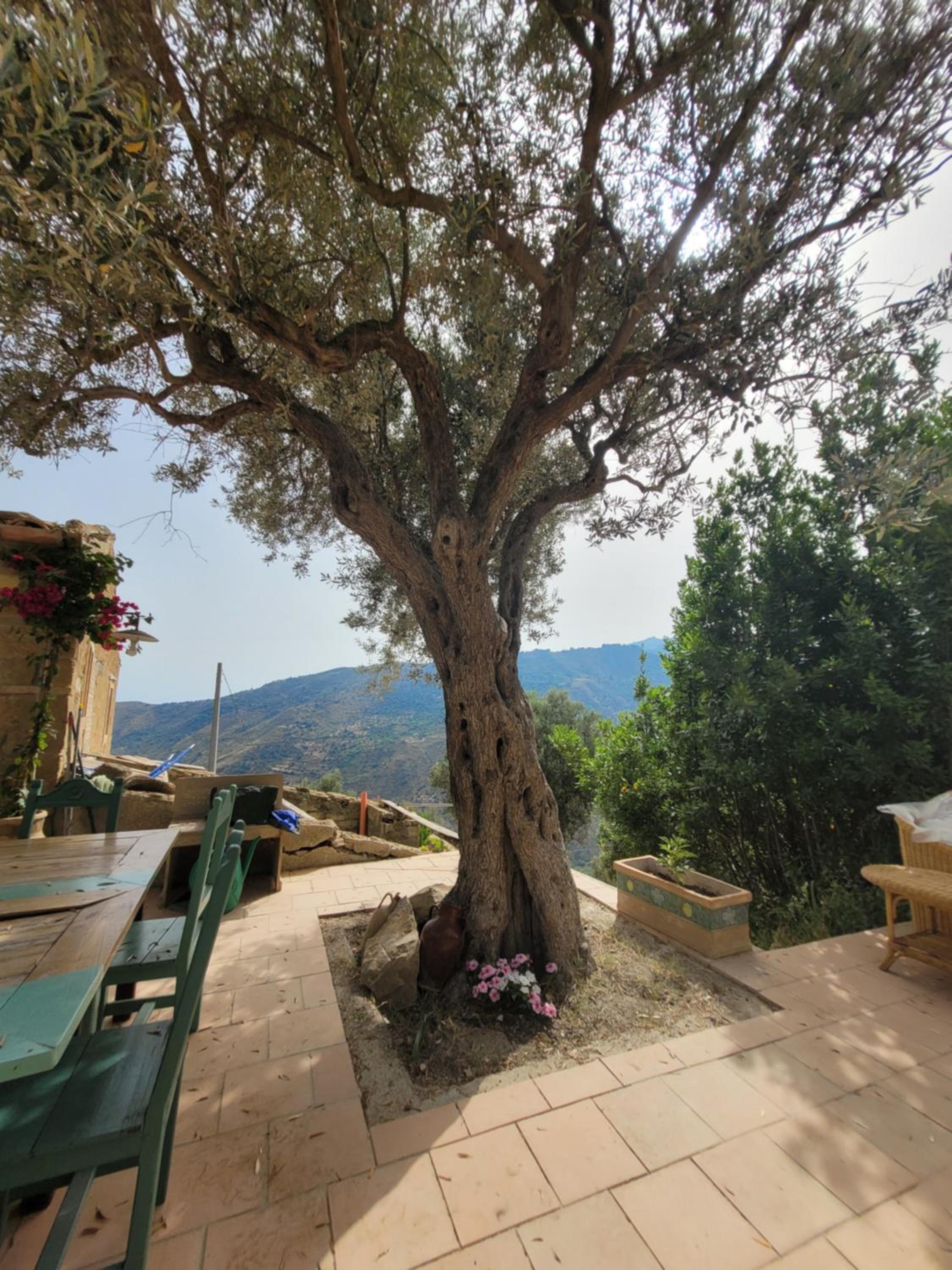 House in the Countryside with Aeolian View