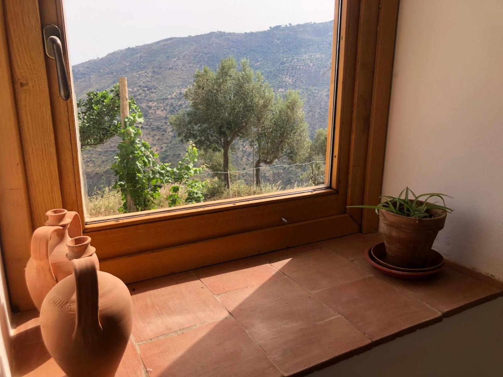 House in the Countryside with Aeolian View
