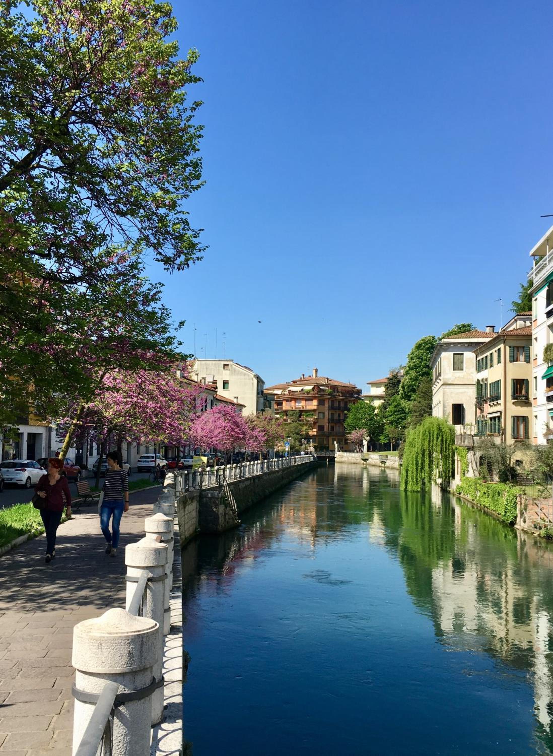 Maison Altinia, locazione in centro storico a due passi dalla stazione view 4
