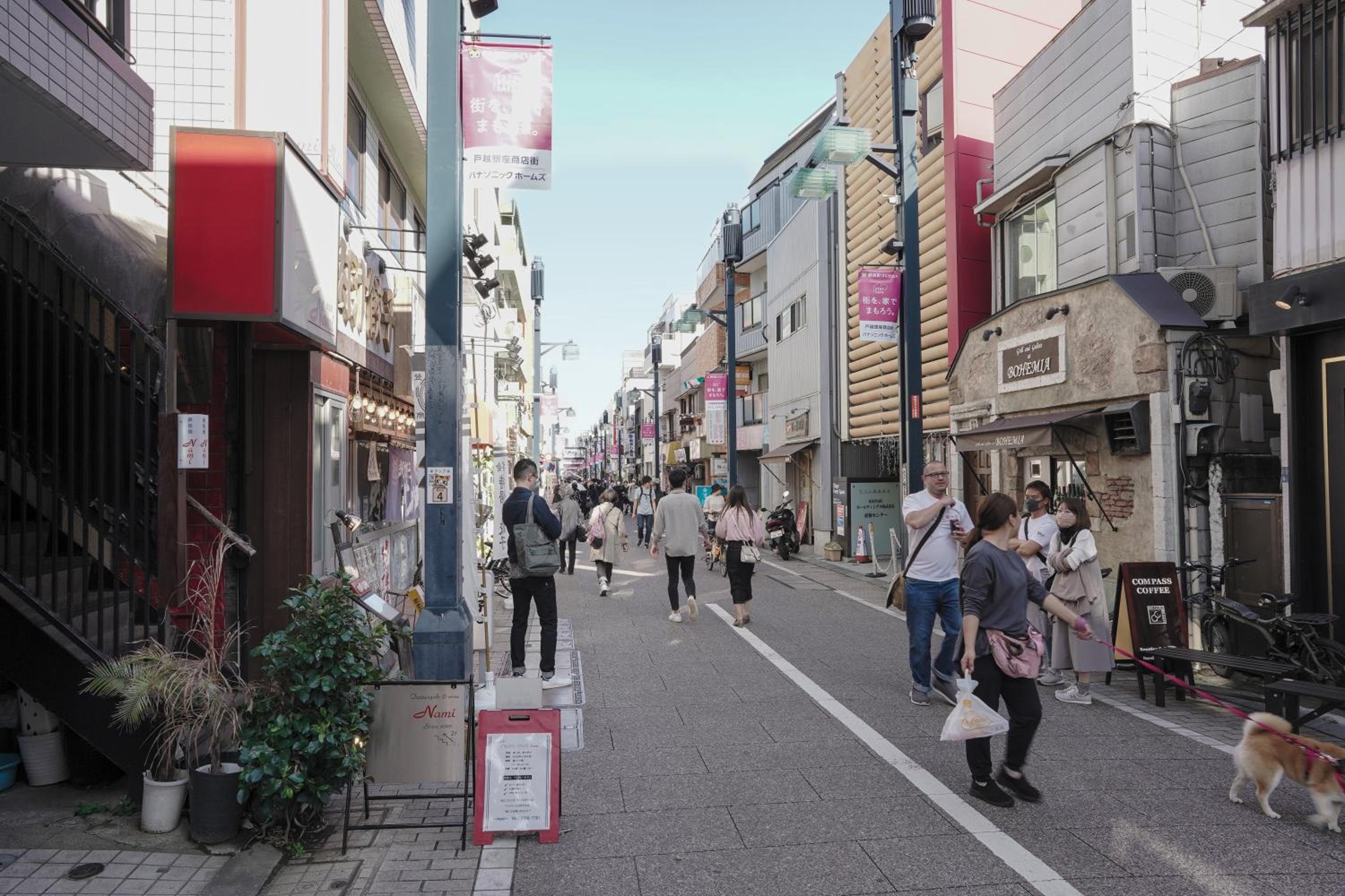 Pet-Friendly, Projector, 2LDK, 6pp, Shinagawa Area