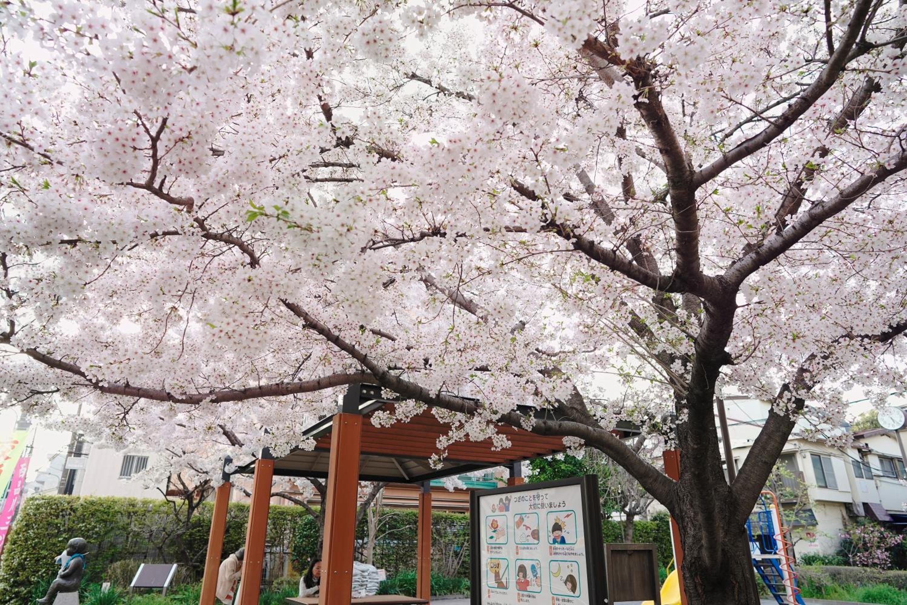 Pet-Friendly, Projector, 2LDK, 6pp, Shinagawa Area