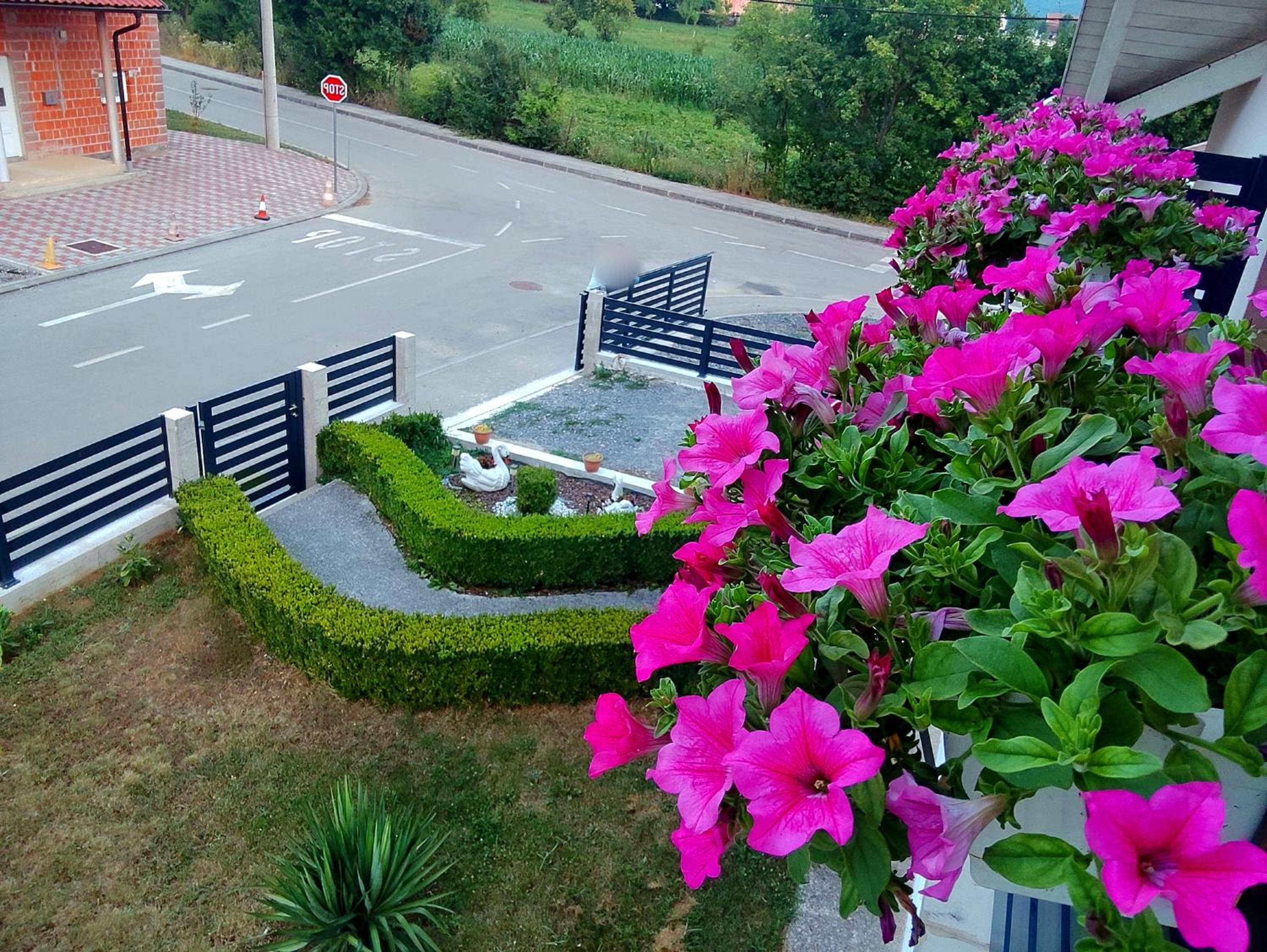 Apartman Swans