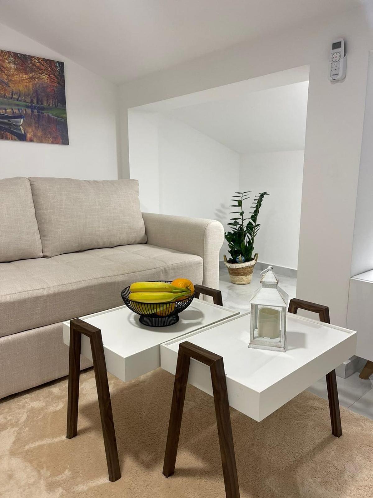 Apartman Sofija Kotor-Ljesevici view 3