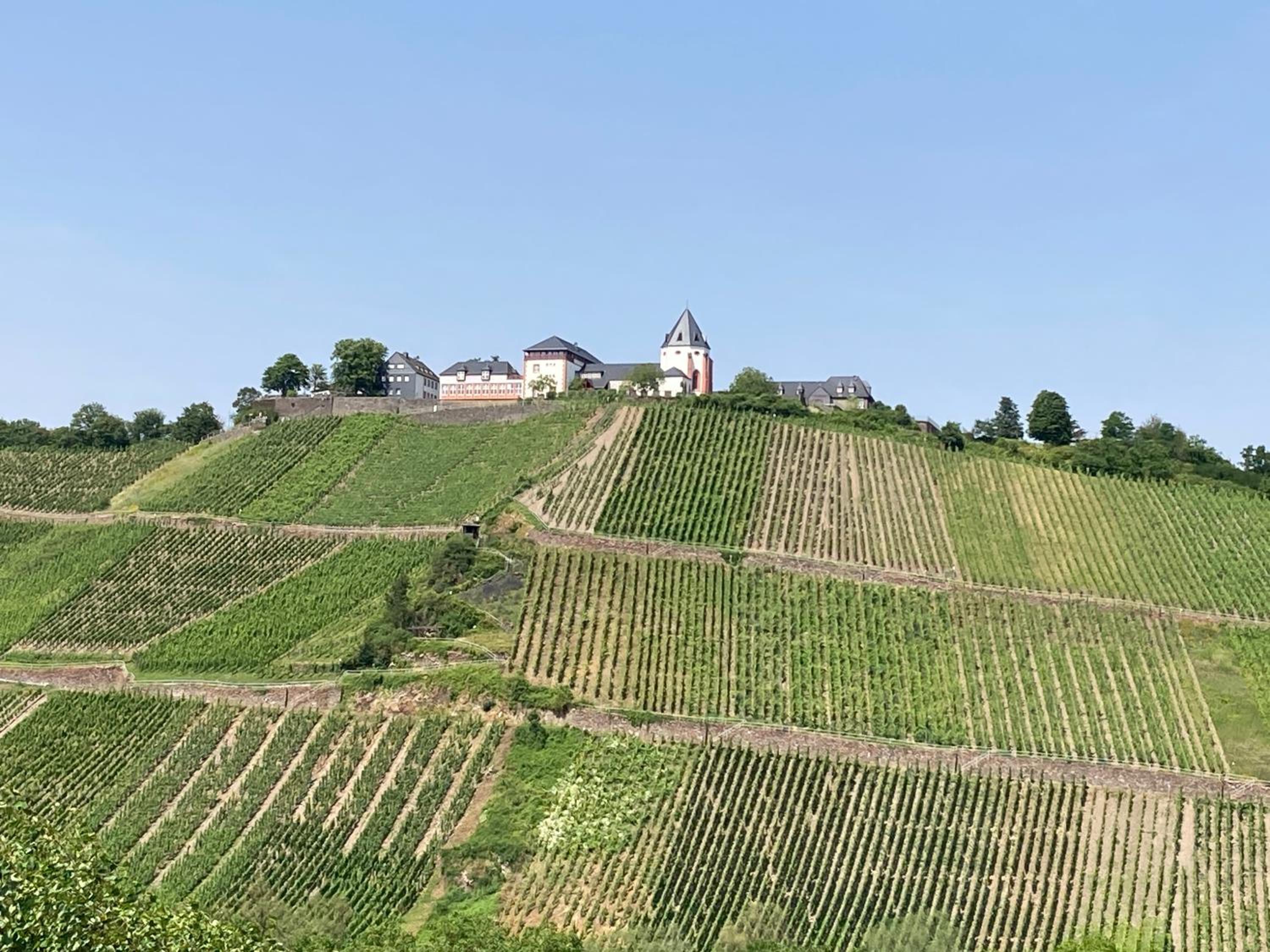 Burgblick Pünderich