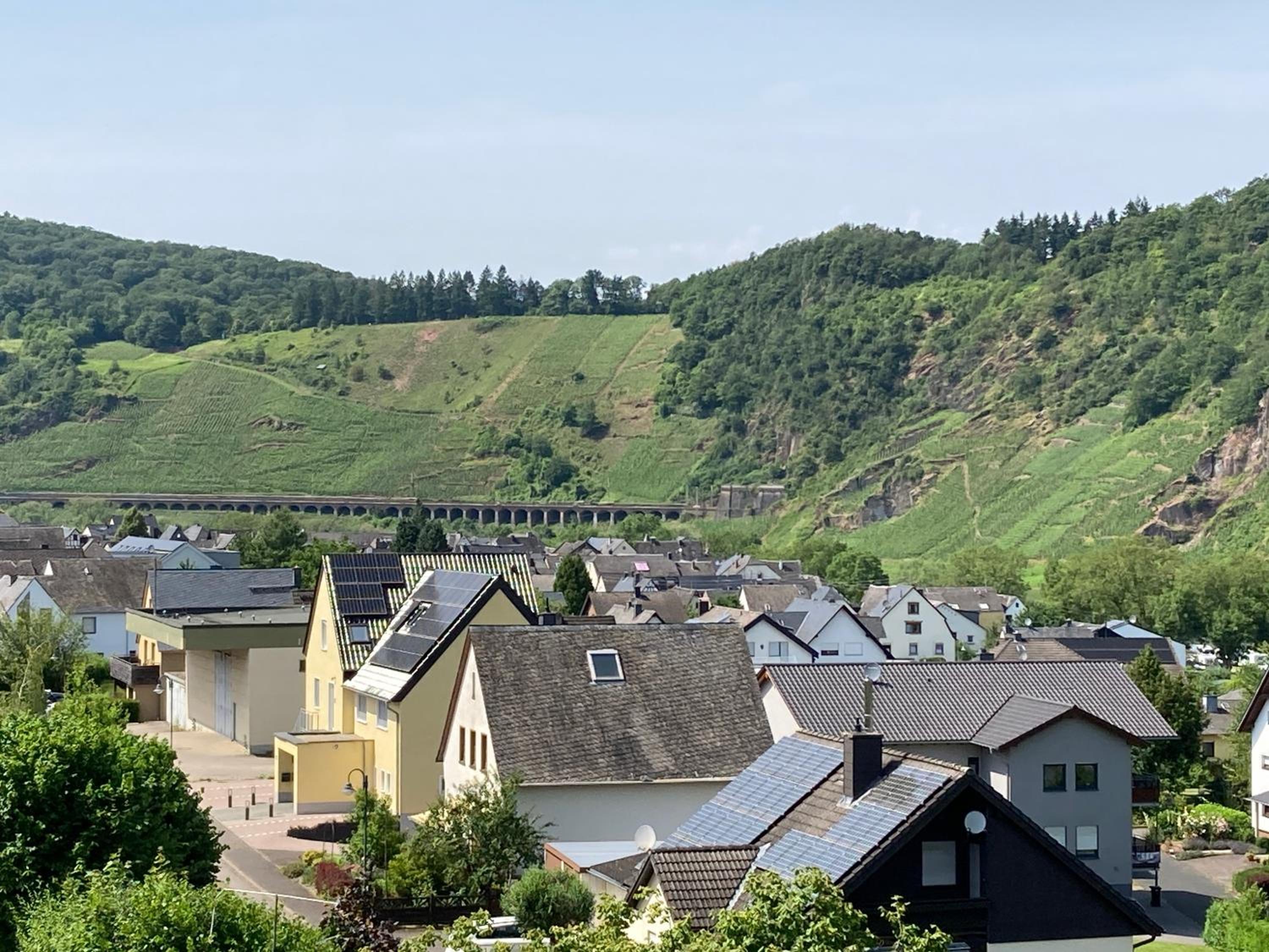 Burgblick Pünderich