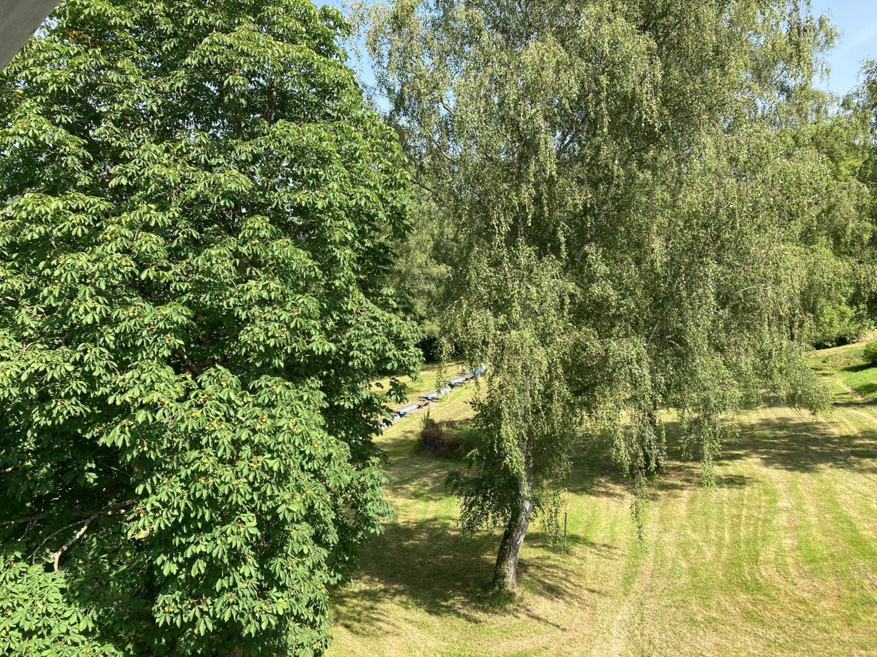 Burgblick Pünderich