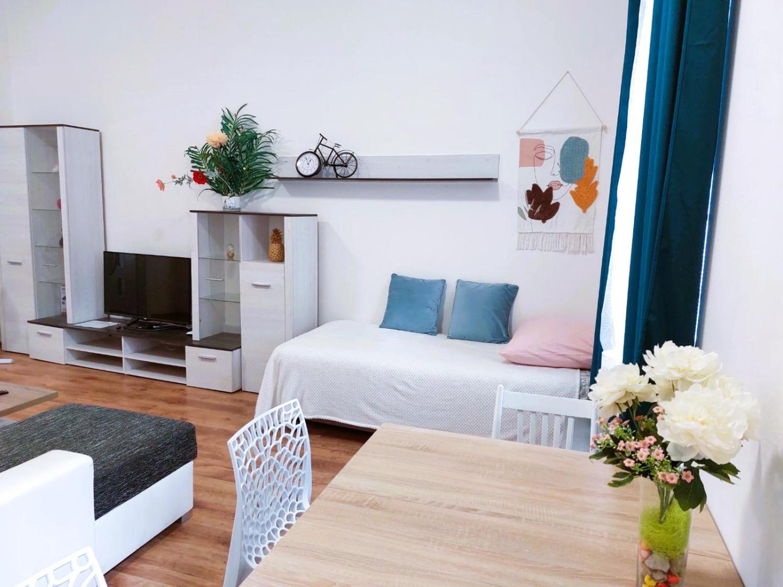 Apartmán ČSA #2# v historickém centru Hradec Králové
