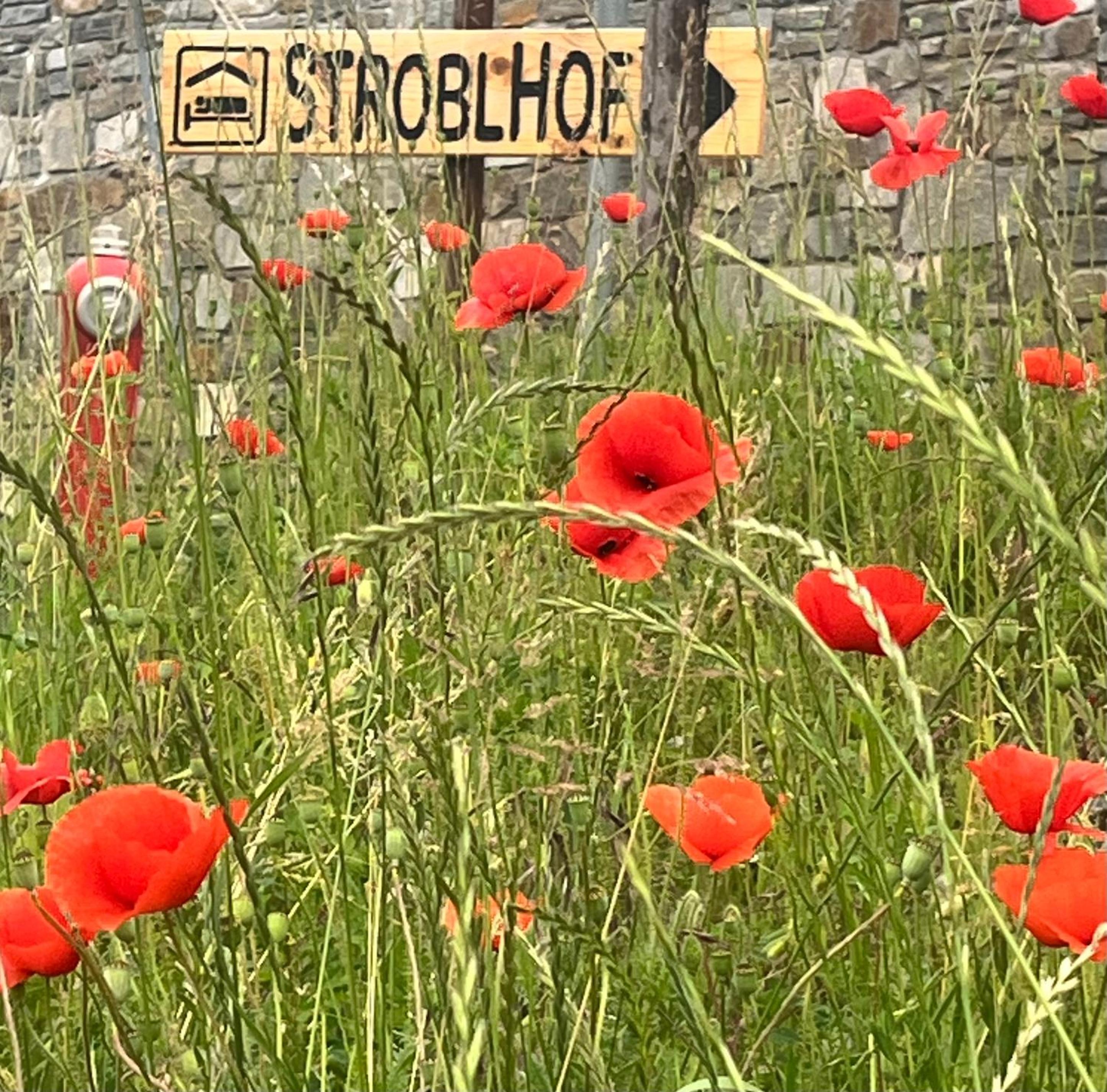 Stroblhof