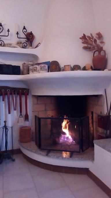 Photo 19