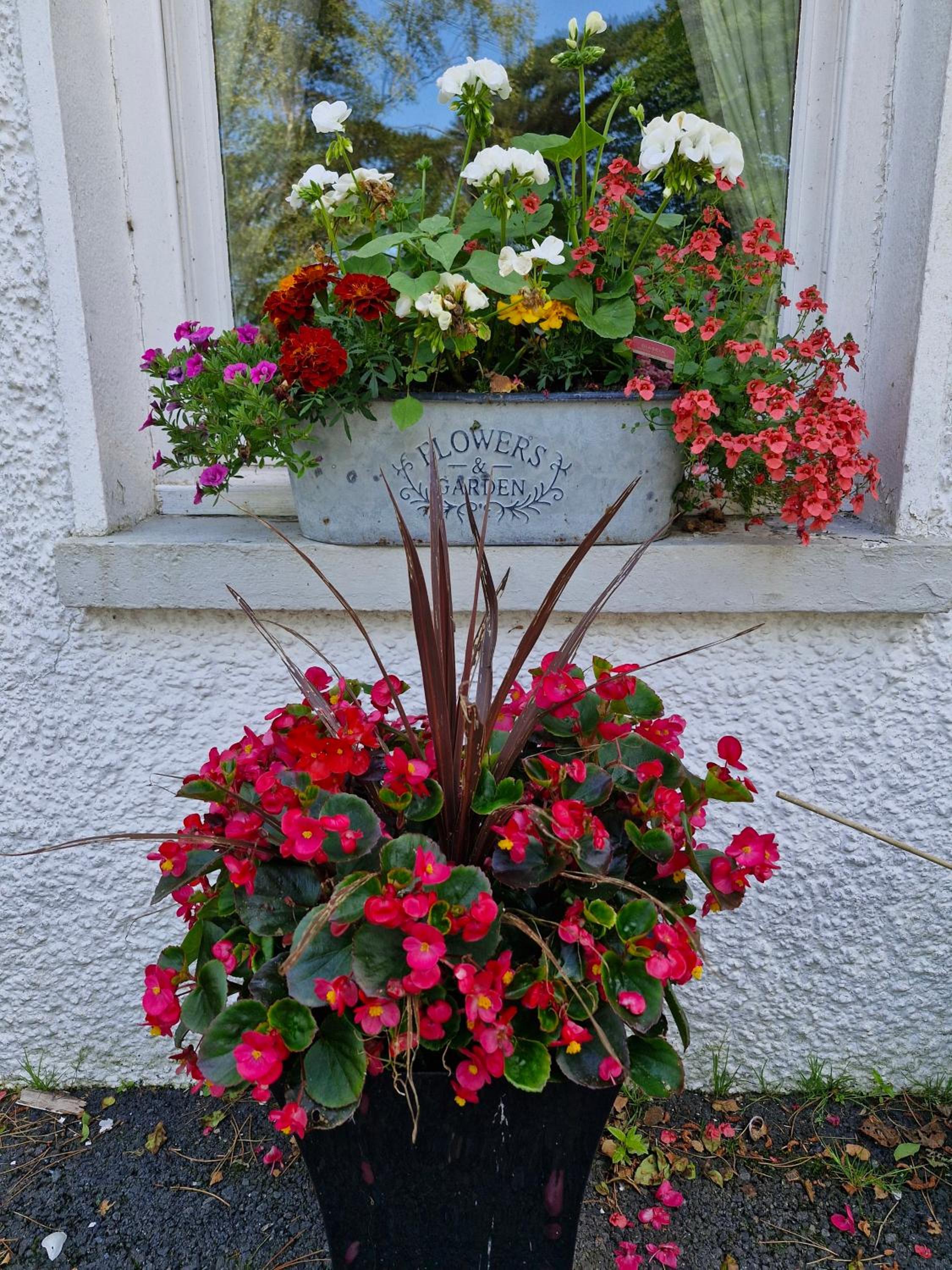 Photo 22