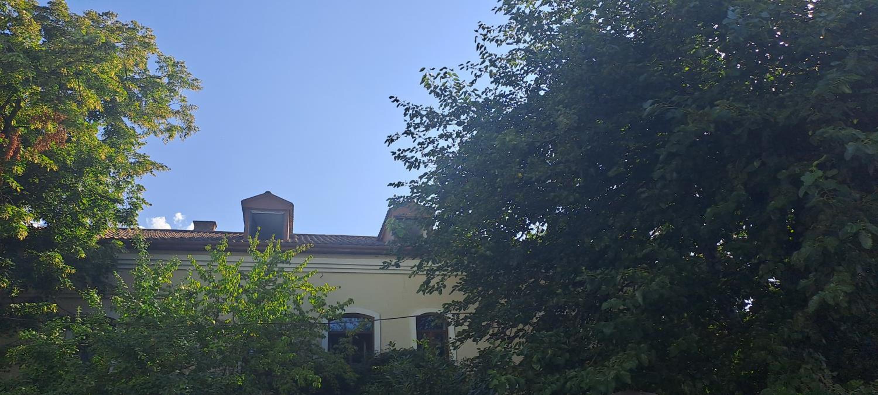 King's Neighbours view 4