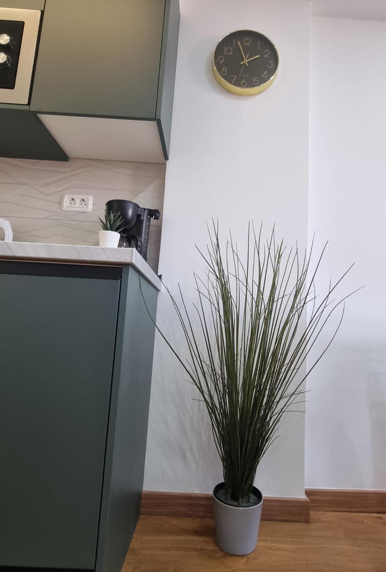 Casa Liotro comfortable, panoramic,central, near the sea,swimming pool,wifi,terrace