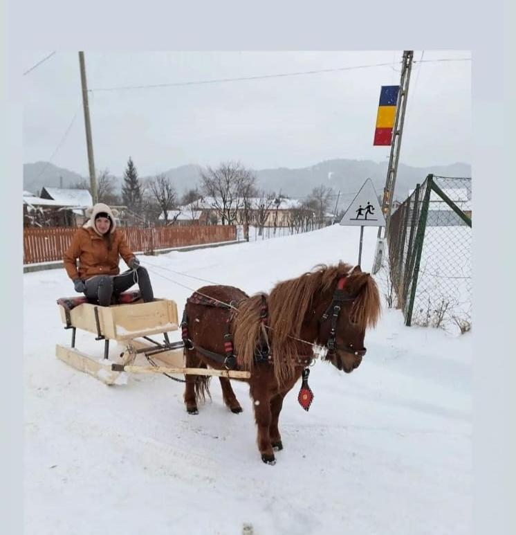 Pensiunea Cocoș