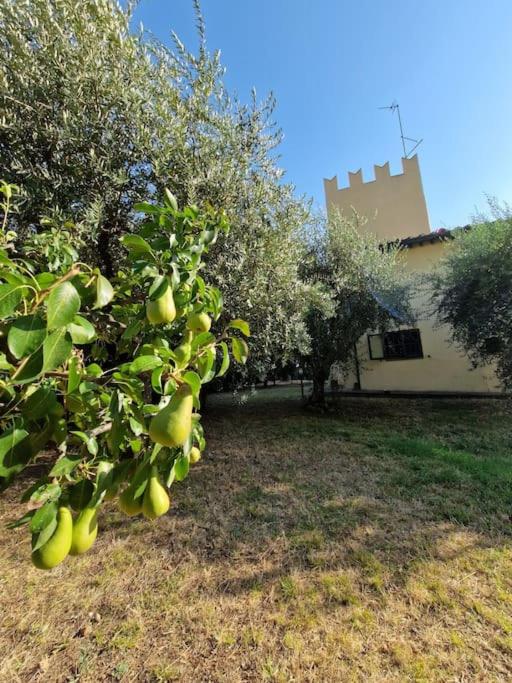 Villa Castaldi Firenze vicina al centro