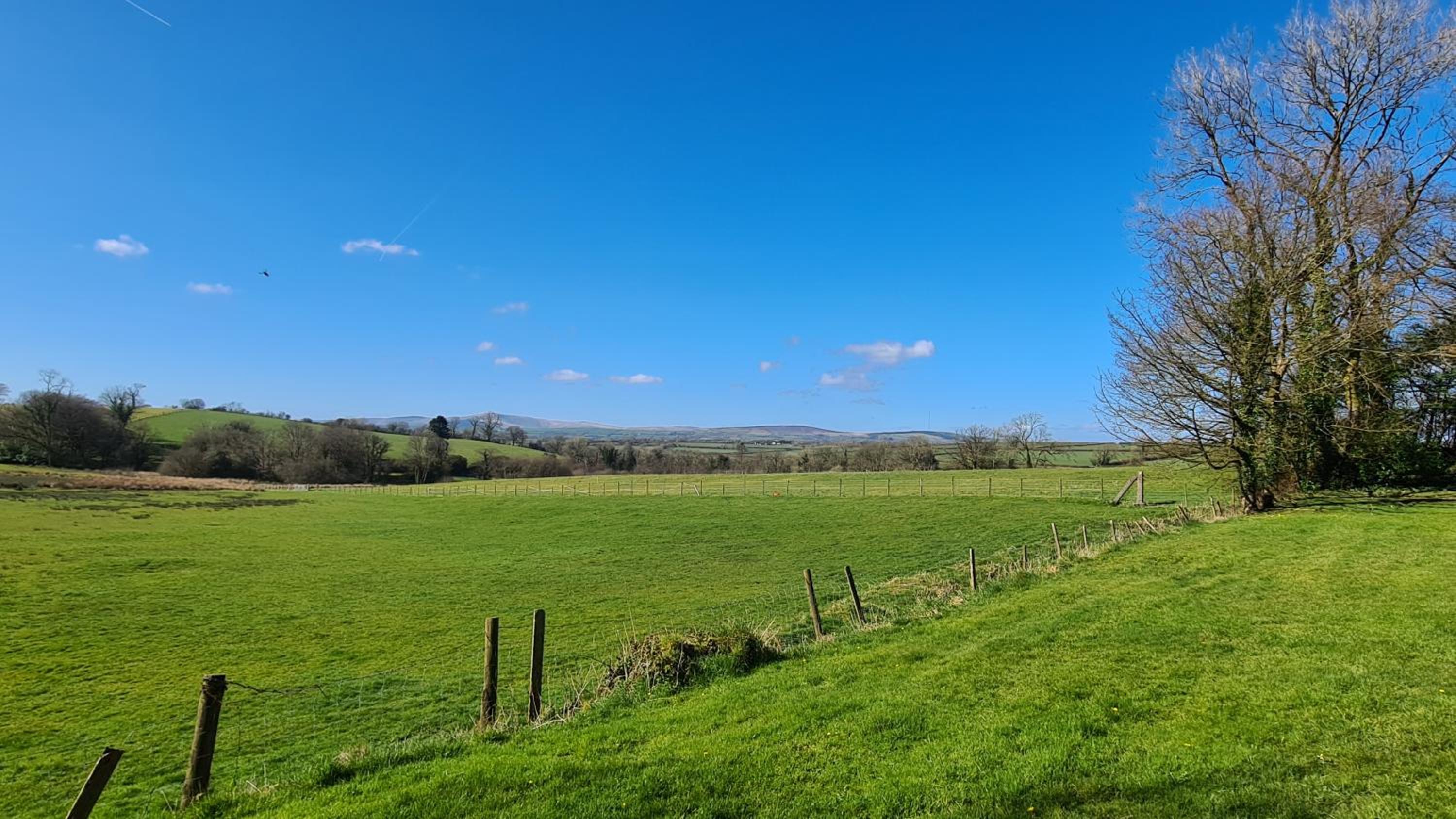 Robin Cottage Sleeps 2 Dog Friendly cottage 40 acres of grounds and woodlands Fishing Lake Swimming Pool view 4