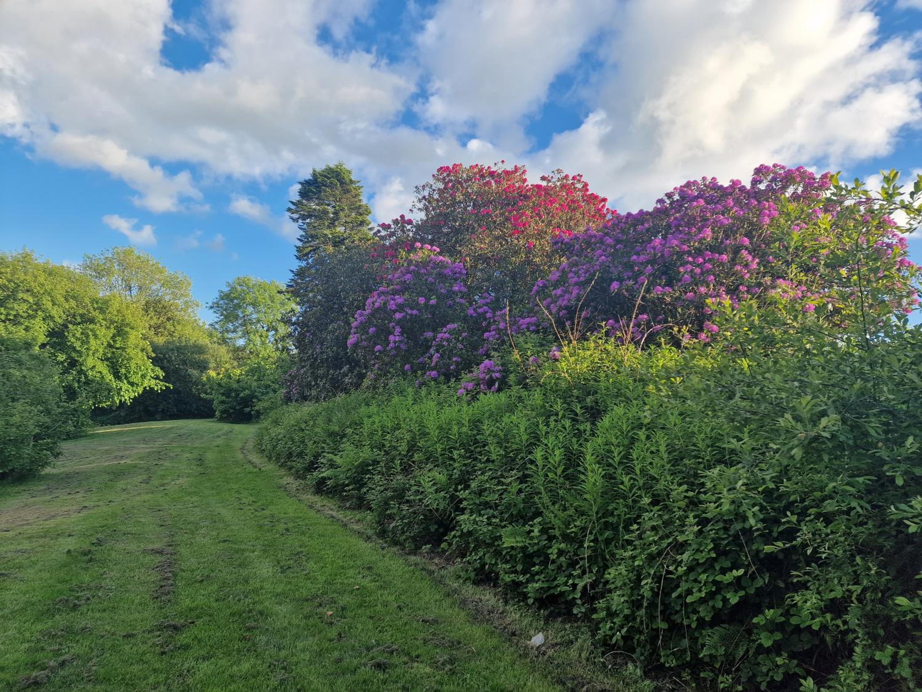 Robin Cottage Sleeps 2 Dog Friendly cottage 40 acres of grounds and woodlands Fishing Lake Swimming Pool view 5