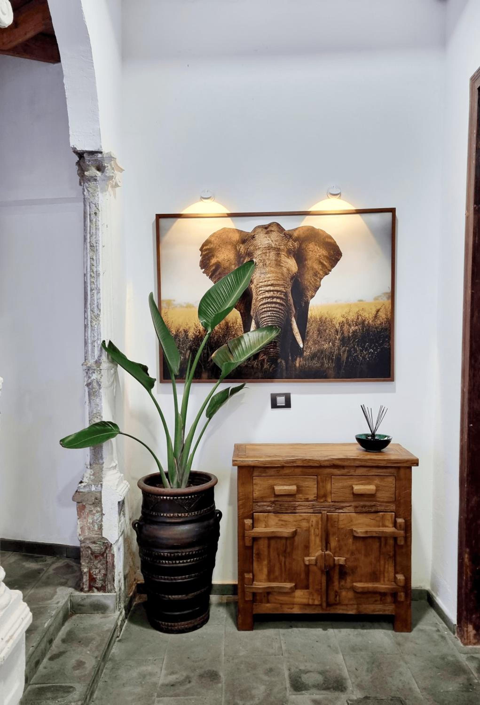 La Colonial