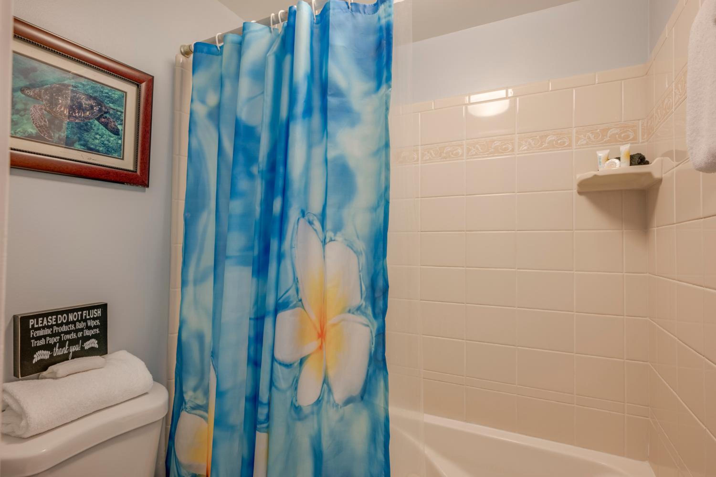Romannas Golden Ray Oceanfront Condo in Maui Sunset Resort view 4