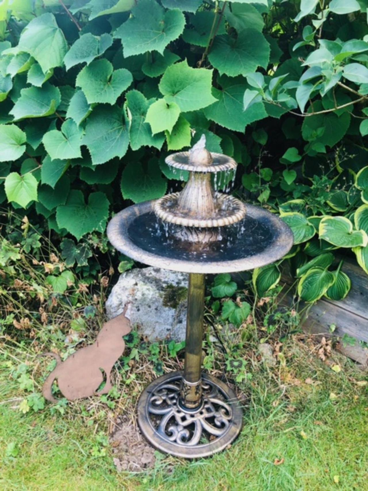 Photo 19