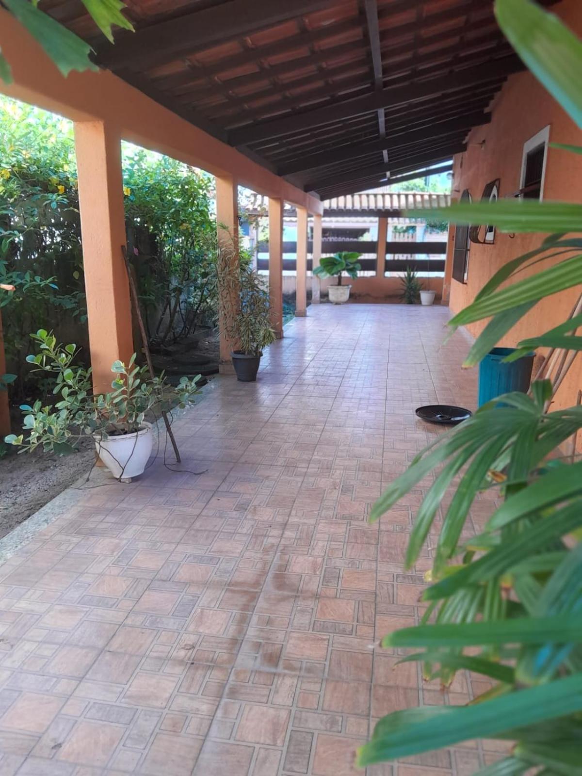 Espaço clorofila