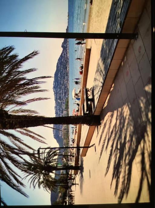 Spacieux Appartement Rose front mer et piscine