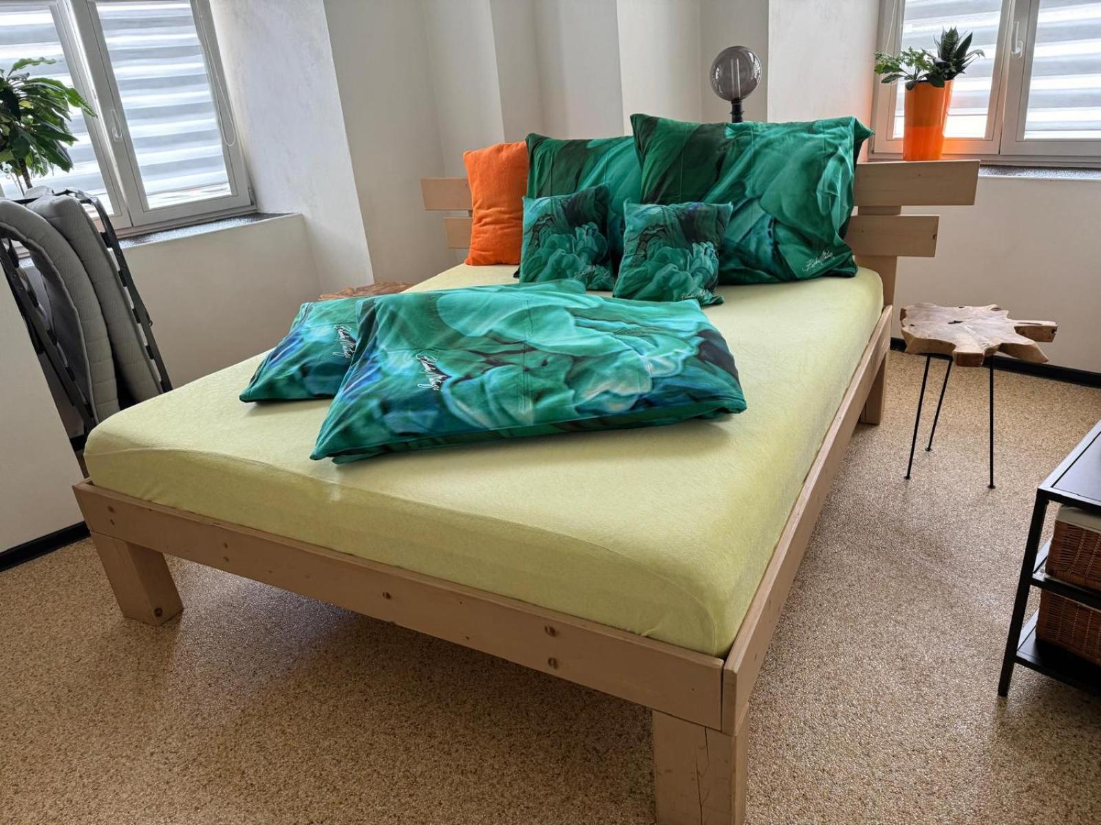 Apartman I Ubytovani v centru Jihlavy view 3