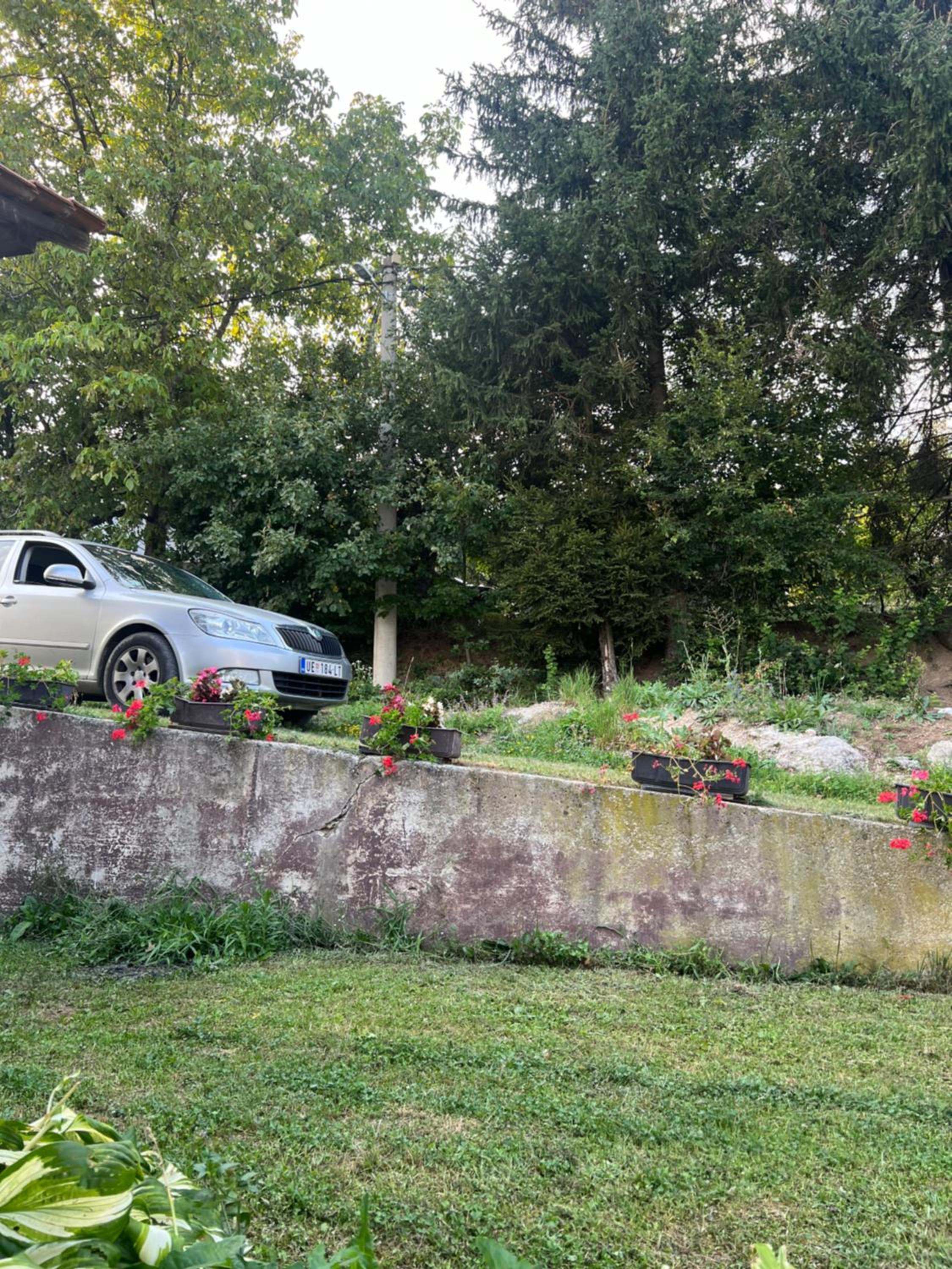 Photo 31