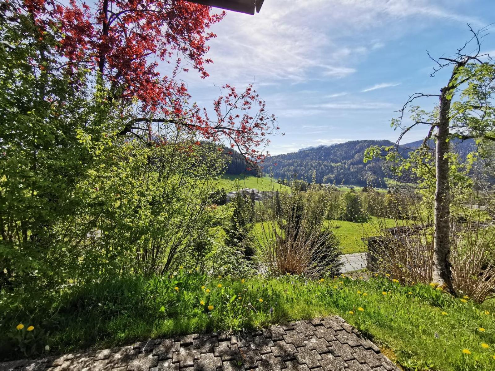 Ferienhaus Buchen