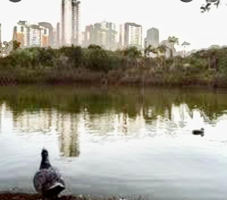 Apartamento encantador com shopping e piscina