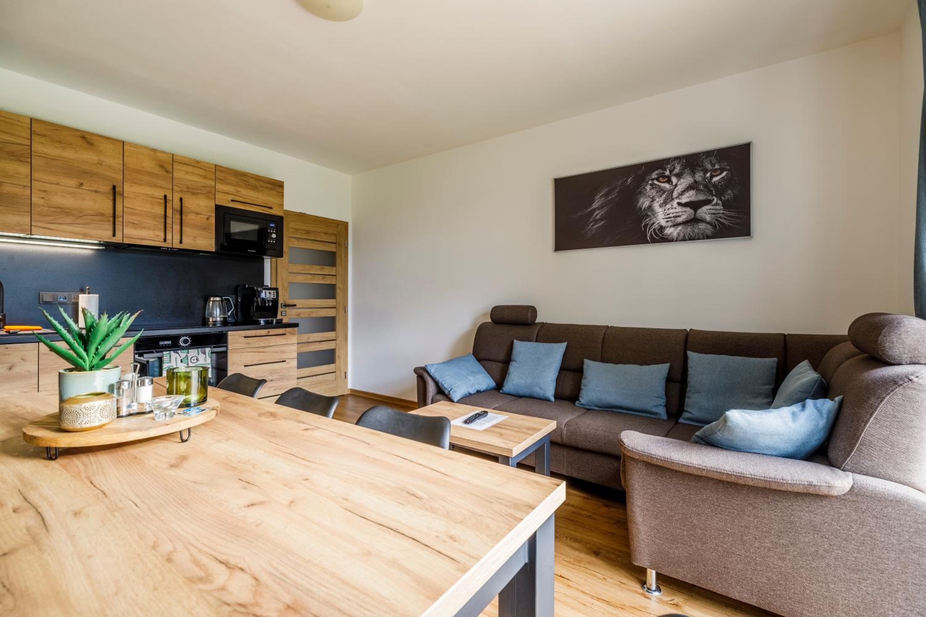 Apartmán Simon - Horský Resort Buková Hora - Červená Voda