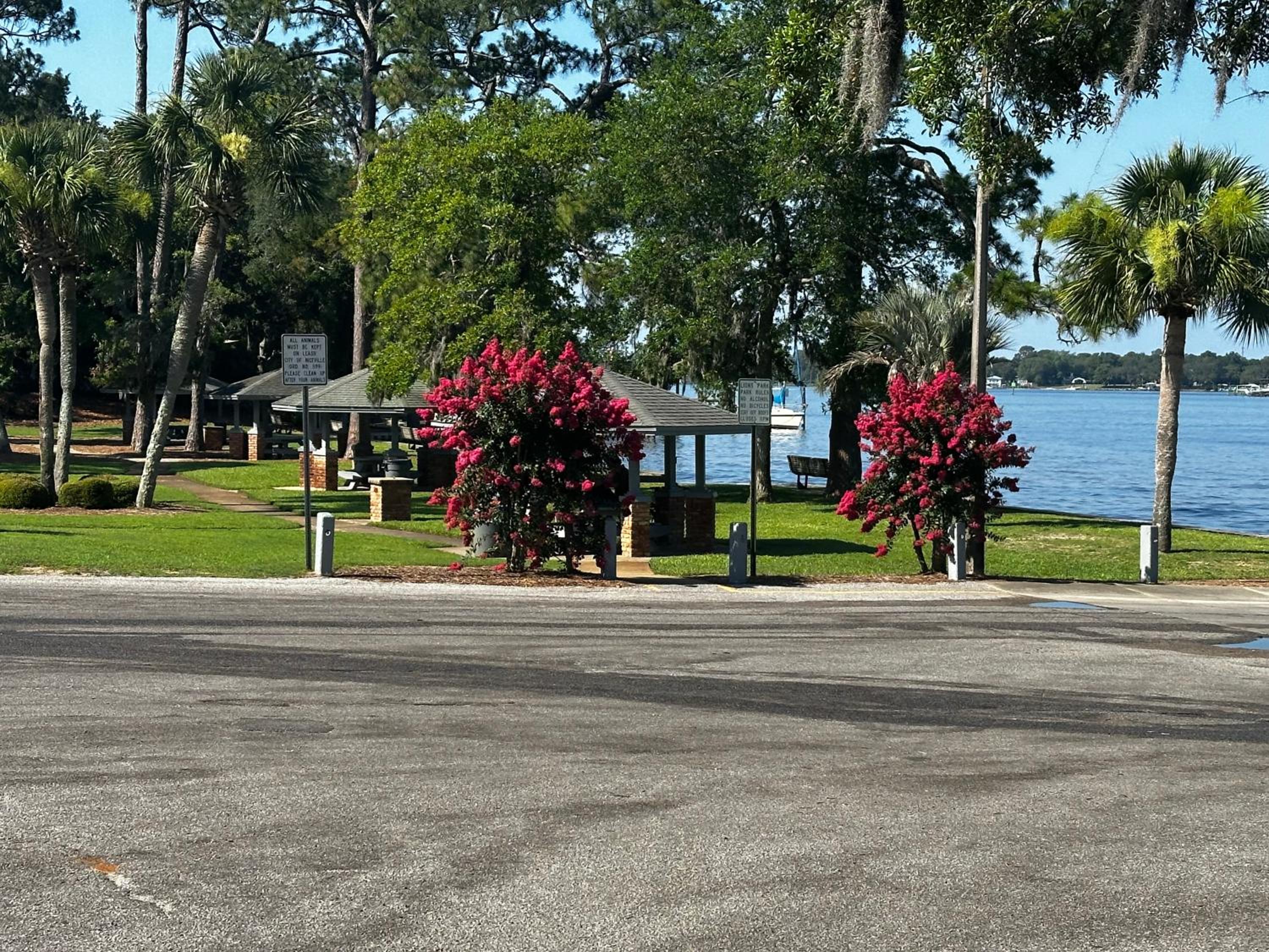 Sunny Niceville - brand new view 3